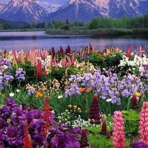 Meet your Posher, Flora